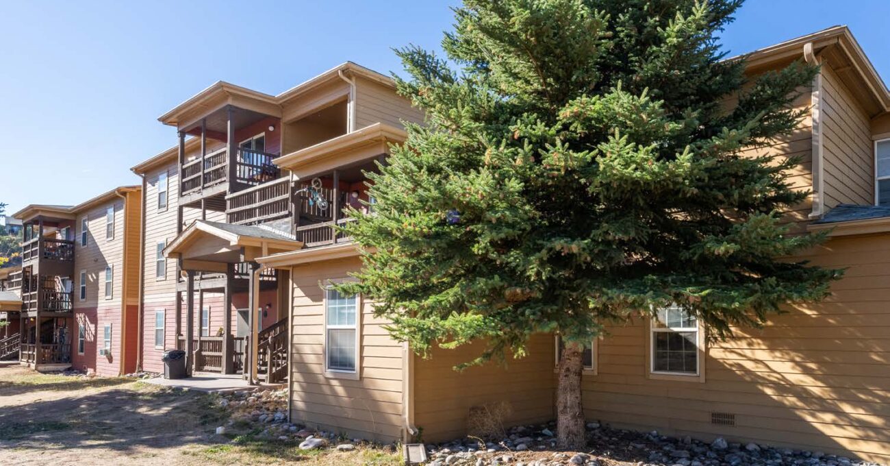 Apartment buildings with wooden balconies and pine tree